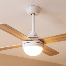 Carica l'immagine nel visualizzatore di Gallery, Ventilatore Da Soffitto Energysilence Aero 4250 Dc Fresh-02