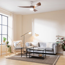 Carica l'immagine nel visualizzatore di Gallery, Energysilence Aero 5280 Darkwood-04