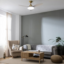 Carica l'immagine nel visualizzatore di Gallery, Energysilence 4800 Light Goldwhite-03