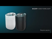 Carica e avvia il video nel visualizzatore di galleria, Deumidificatore BigDry 3000 PureLight Black