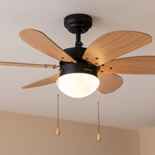 Carica l&#39;immagine nel visualizzatore di Gallery, Energysilence Aero 360 Black&amp;Wood-02
