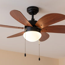 Carica l&#39;immagine nel visualizzatore di Gallery, Energysilence Aero 365 Black&amp;Wood-02

