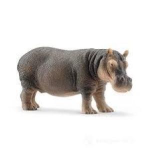 Ippopotamo -20827-
