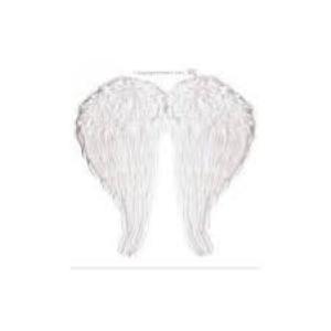 Costume Recite Ali Cupido C/Fibre Ottiche