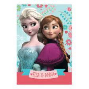 Diario Frozen