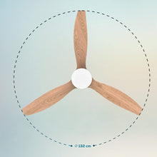 Carica l&#39;immagine nel visualizzatore di Gallery, Ventilatore da soffitto EnergySilence Aero 5600 Steel Aqua Connected
