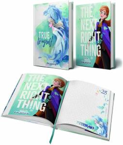 Diario Frozen 20/21