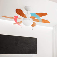 Carica l&#39;immagine nel visualizzatore di Gallery, Ventilatore da soffitto EnergySilence Aero 360
