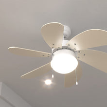 Carica l&#39;immagine nel visualizzatore di Gallery, Ventilatore da soffitto EnergySIlence Aero 3600 Vision SunLight
